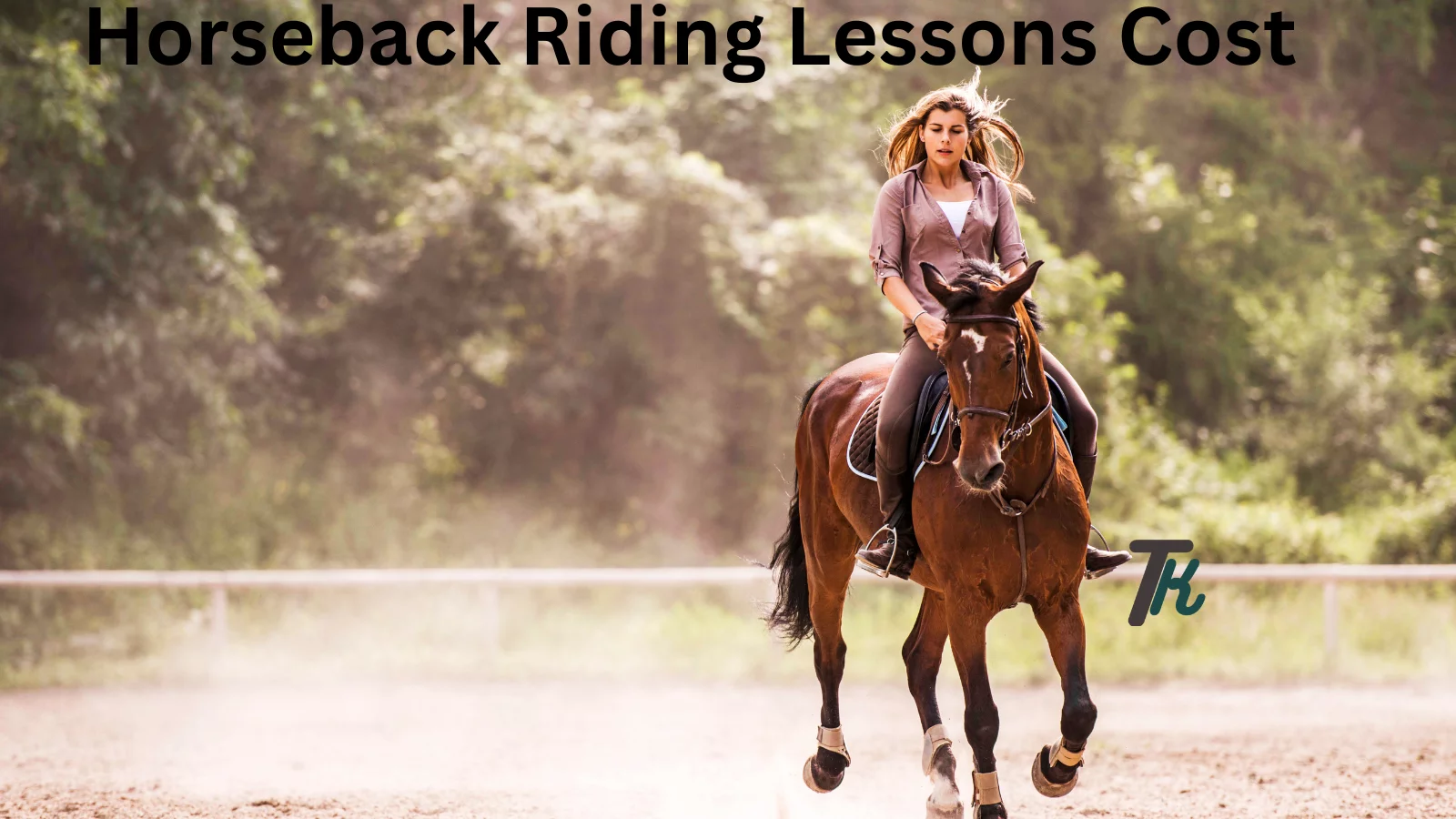 horseback riding Lessons