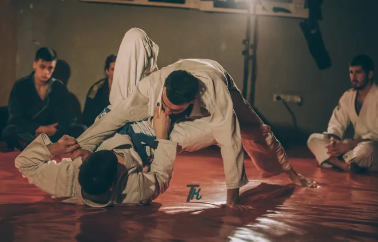 is wrestling a martial art