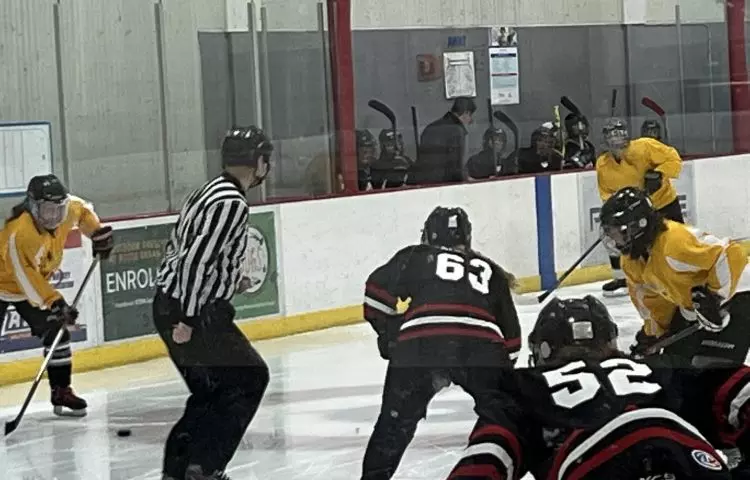 what is beer league hockey