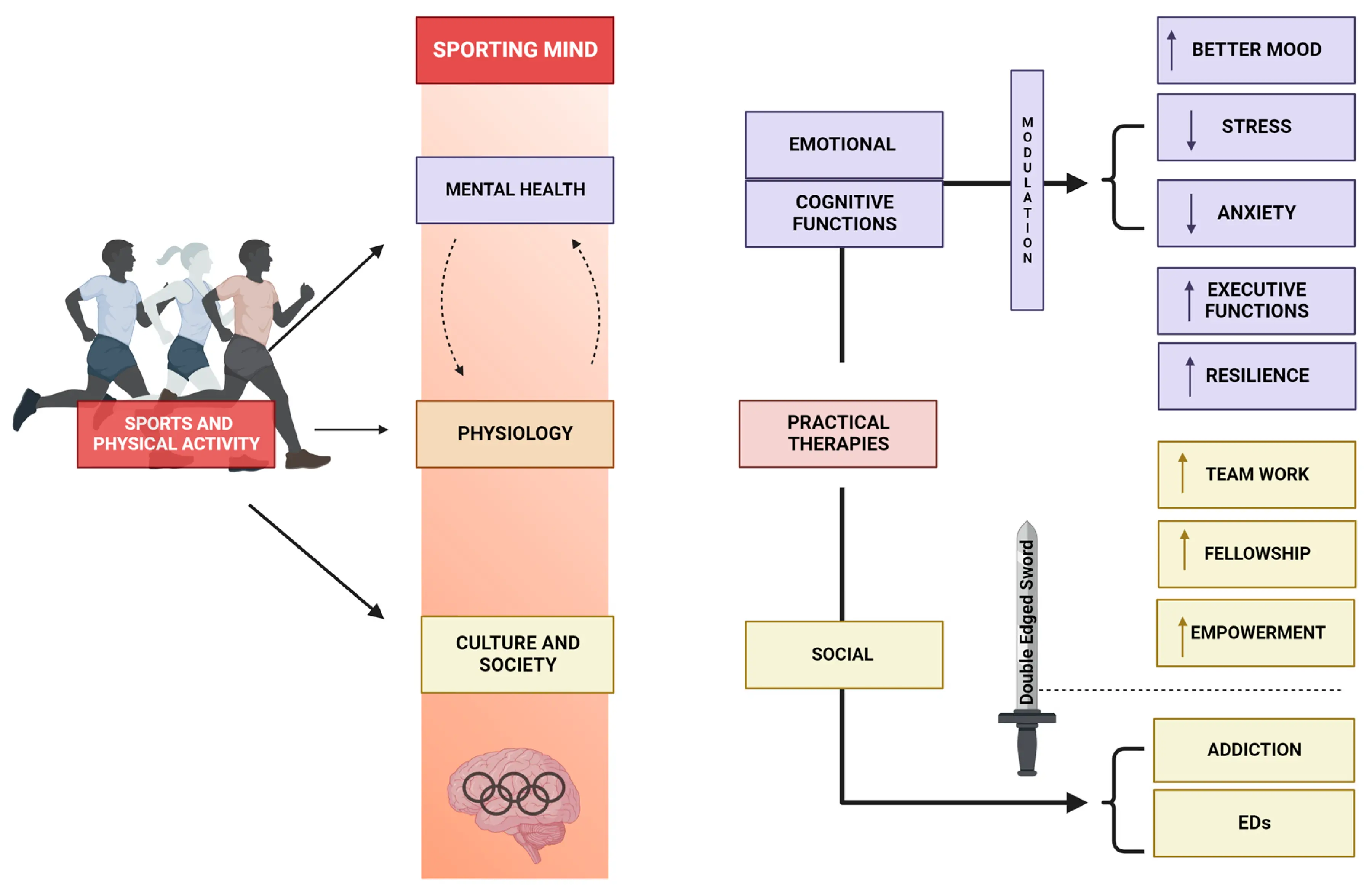 What is a Potential Psychological Outcome of Regularly Playing Sports