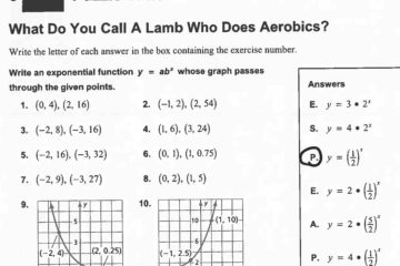 What Do You Call a Lamb Who Does Aerobics